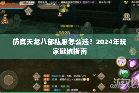 仿真天龙八部私服怎么选?2024年玩家避坑指南 仿真天龙八部私服怎么选?2024年玩家避坑指南
