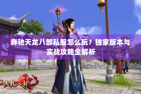 奔驰天龙八部私服怎么玩?独家版本与实战攻略全解析 奔驰天龙八部私服怎么玩?独家版本与实战攻略全解析