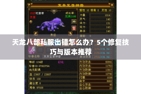 天龙八部私服出错怎么办？5个修复技巧与版本推荐