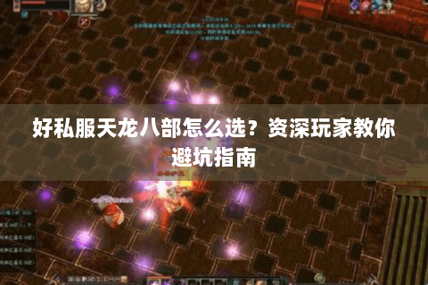 好私服天龙八部怎么选？资深玩家教你避坑指南