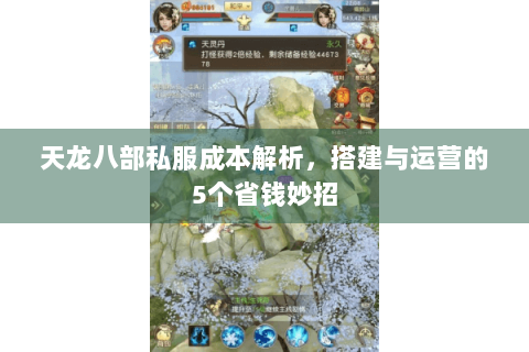 天龙八部私服成本解析，搭建与运营的5个省钱妙招