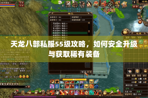 天龙八部私服55级攻略,如何安全升级与获取稀有装备 天龙八部私服55级攻略,如何安全升级与获取稀有装备