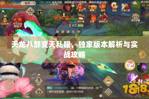 天龙八部变天私服，独家版本解析与实战攻略