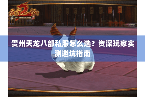 贵州天龙八部私服怎么选?资深玩家实测避坑指南 贵州天龙八部私服怎么选?资深玩家实测避坑指南