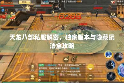 天龙八部私服解密,独家版本与隐藏玩法全攻略 天龙八部私服解密,独家版本与隐藏玩法全攻略