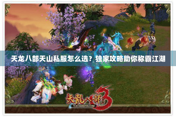 天龙八部天山私服怎么选？独家攻略助你称霸江湖