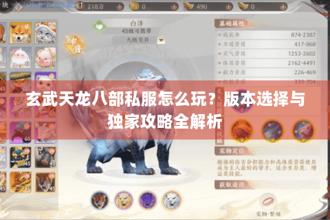 玄武天龙八部私服怎么玩?版本选择与独家攻略全解析 玄武天龙八部私服怎么玩?版本选择与独家攻略全解析