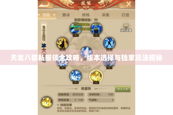 天龙八部私服领全攻略，版本选择与独家玩法揭秘