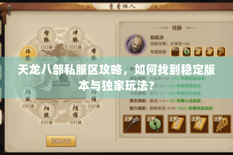 天龙八部私服区攻略，如何找到稳定版本与独家玩法？