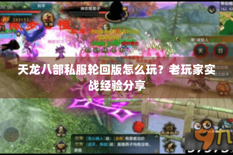 天龙八部私服轮回版怎么玩?老玩家实战经验分享 天龙八部私服轮回版怎么玩?老玩家实战经验分享