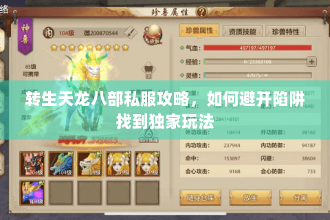 转生天龙八部私服攻略，如何避开陷阱找到独家玩法