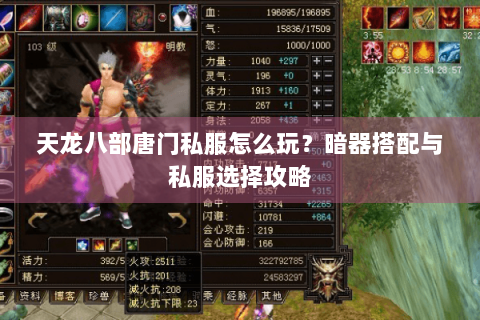 天龙八部唐门私服怎么玩？暗器搭配与私服选择攻略