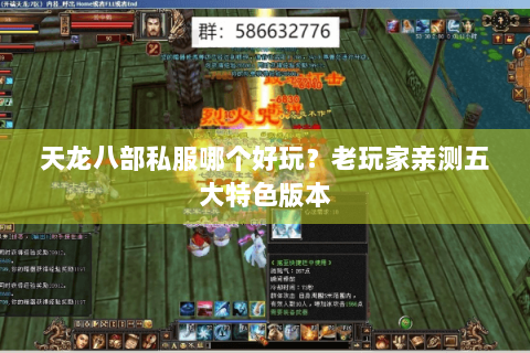 天龙八部私服哪个好玩?老玩家亲测五大特色版本 天龙八部私服哪个好玩?老玩家亲测五大特色版本