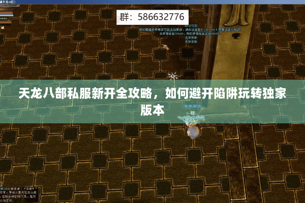 天龙八部私服新开全攻略，如何避开陷阱玩转独家版本