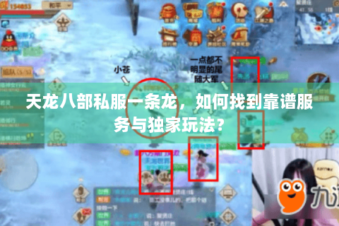 天龙八部私服一条龙,如何找到靠谱服务与独家玩法? 天龙八部私服一条龙,如何找到靠谱服务与独家玩法?