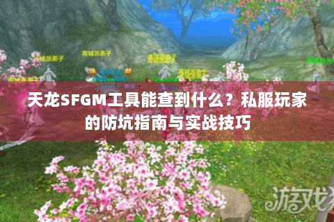 天龙SFGM工具能查到什么?私服玩家的防坑指南与实战技巧 天龙SFGM工具能查到什么?私服玩家的防坑指南与实战技巧