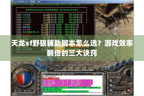 天龙sf野狼辅助脚本怎么选？游戏效率翻倍的三大诀窍