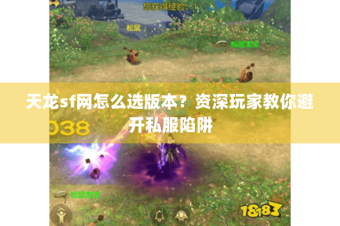 天龙sf网怎么选版本？资深玩家教你避开私服陷阱
