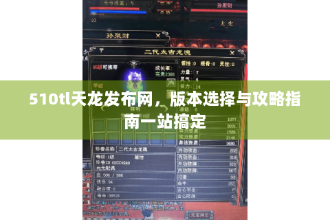 510tl天龙发布网，版本选择与攻略指南一站搞定