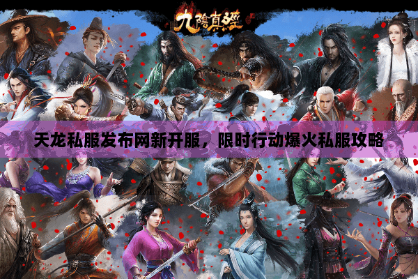 天龙私服发布网新开服，限时行动爆火私服攻略