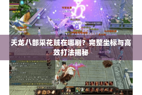 天龙八部采花贼在哪刷？完整坐标与高效打法揭秘