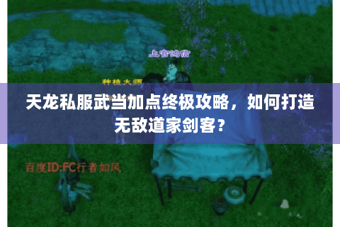 天龙私服武当加点终极攻略，如何打造无敌道家剑客？