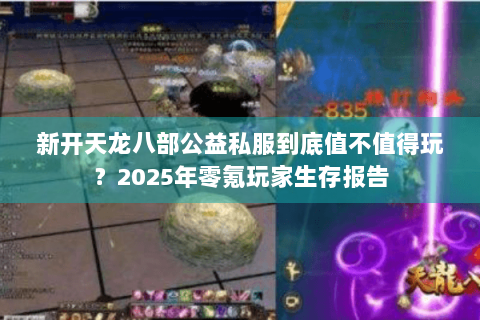新开天龙八部公益私服到底值不值得玩？2025年零氪玩家生存报告