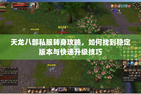 天龙八部私服转身攻略，如何找到稳定版本与快速升级技巧