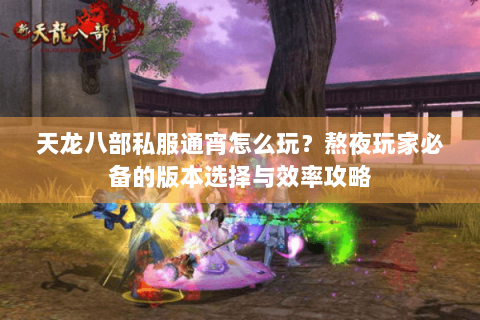 天龙八部私服通宵怎么玩?熬夜玩家必备的版本选择与效率攻略 天龙八部私服通宵怎么玩?熬夜玩家必备的版本选择与效率攻略