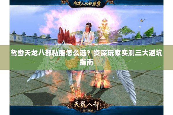 鸳鸯天龙八部私服怎么选?资深玩家实测三大避坑指南 鸳鸯天龙八部私服怎么选?资深玩家实测三大避坑指南