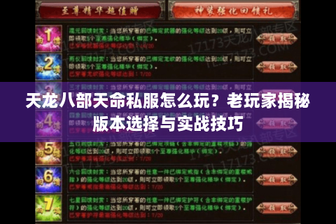 天龙八部天命私服怎么玩?老玩家揭秘版本选择与实战技巧 天龙八部天命私服怎么玩?老玩家揭秘版本选择与实战技巧