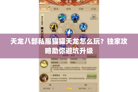 天龙八部私服猫猫天龙怎么玩？独家攻略助你避坑升级