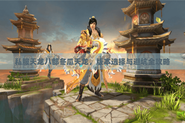 私服天龙八部冬瓜天龙，版本选择与避坑全攻略