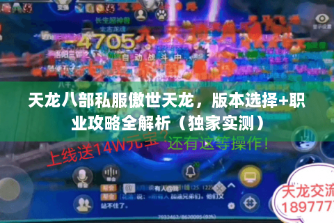 天龙八部私服傲世天龙，版本选择+职业攻略全解析（独家实测）