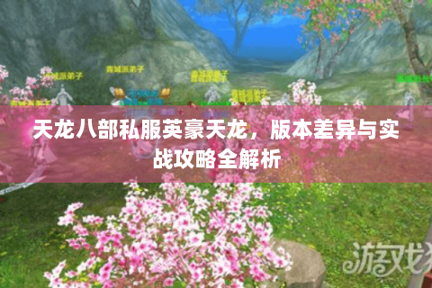 天龙八部私服英豪天龙,版本差异与实战攻略全解析 天龙八部私服英豪天龙,版本差异与实战攻略全解析