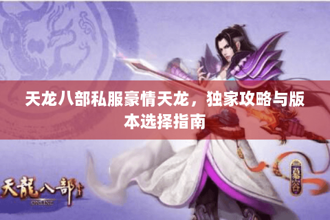 天龙八部私服豪情天龙，独家攻略与版本选择指南