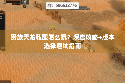 贵族天龙私服怎么玩？深度攻略+版本选择避坑指南