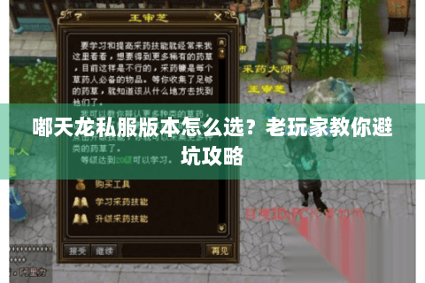 嘟天龙私服版本怎么选？老玩家教你避坑攻略