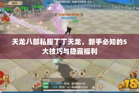 天龙八部私服丁丁天龙,新手必知的5大技巧与隐藏福利 天龙八部私服丁丁天龙,新手必知的5大技巧与隐藏福利
