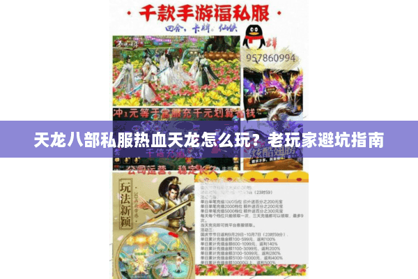 天龙八部私服热血天龙怎么玩?老玩家避坑指南 天龙八部私服热血天龙怎么玩?老玩家避坑指南