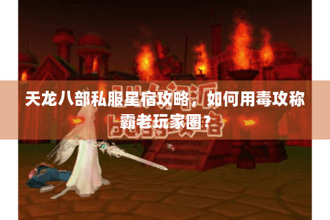 天龙八部私服星宿攻略,如何用毒攻称霸老玩家圈? 天龙八部私服星宿攻略,如何用毒攻称霸老玩家圈?