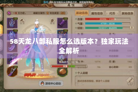 58天龙八部私服怎么选版本?独家玩法全解析 58天龙八部私服怎么选版本?独家玩法全解析