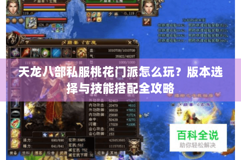 天龙八部私服桃花门派怎么玩？版本选择与技能搭配全攻略
