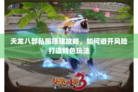 天龙八部私服搭建攻略，如何避开风险打造特色玩法