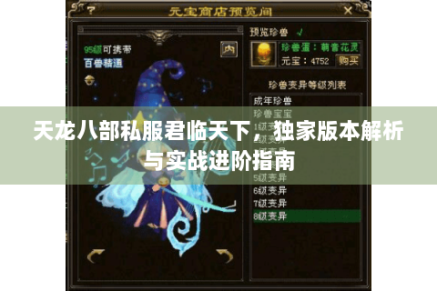 天龙八部私服君临天下,独家版本解析与实战进阶指南 天龙八部私服君临天下,独家版本解析与实战进阶指南