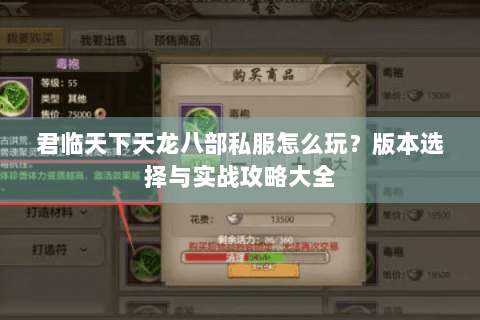 君临天下天龙八部私服怎么玩?版本选择与实战攻略大全 君临天下天龙八部私服怎么玩?版本选择与实战攻略大全