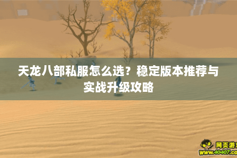 天龙八部私服怎么选？稳定版本推荐与实战升级攻略