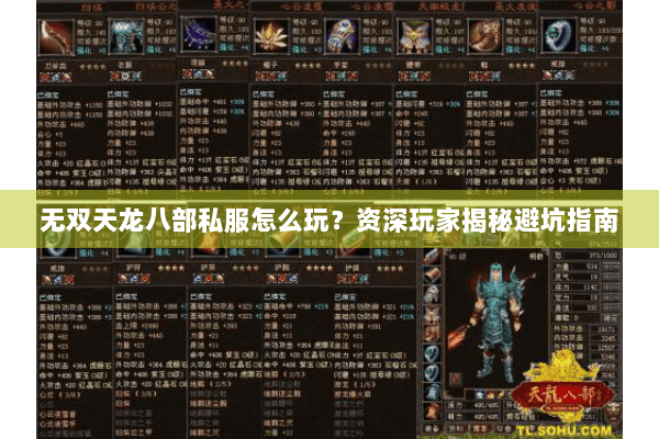 无双天龙八部私服怎么玩?资深玩家揭秘避坑指南 无双天龙八部私服怎么玩?资深玩家揭秘避坑指南