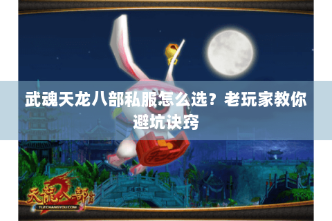 武魂天龙八部私服怎么选？老玩家教你避坑诀窍