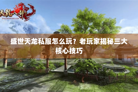 盛世天龙私服怎么玩?老玩家揭秘三大核心技巧 盛世天龙私服怎么玩?老玩家揭秘三大核心技巧